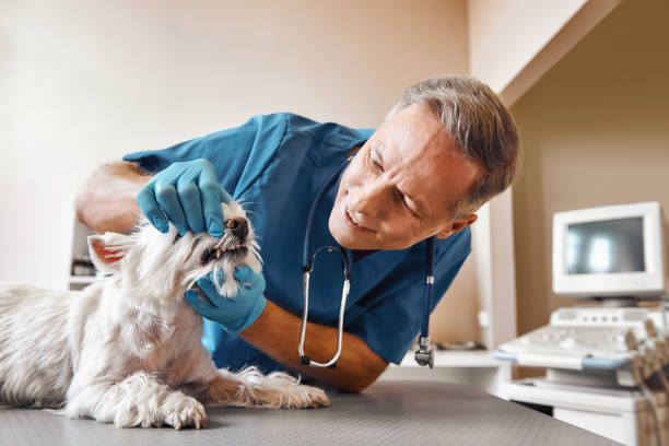 Best Walk-In Emergency Dentist in Monument Hills, CA